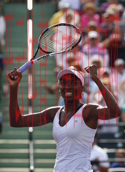 体育皇冠网, 揭秘体育皇冠网的安全性与用户体验的最佳实践